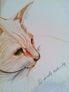 Our cat, "Chollah" (Choy-yah); colored pencil.