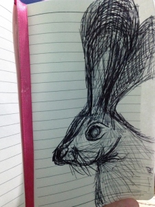 Jackrabbit memory sketch, pen.